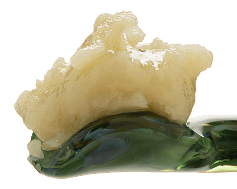 LIVE HASH ROSIN | MANGO MOJITO | HYBRID | 1 GRAM