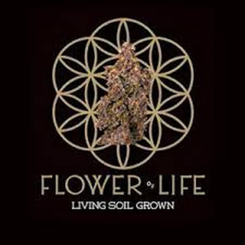 Marion B. Kush x Eddy OG 1g x 28pk Pre Rolls Bucket | Flower of Life