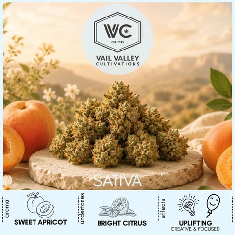 Apricot Haze Cannabis Flower by Vail Valley Cultivations | Golden Rookie