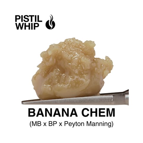 PISTIL WHIP - ROSIN BADDER - BANANA CHEM - 1G