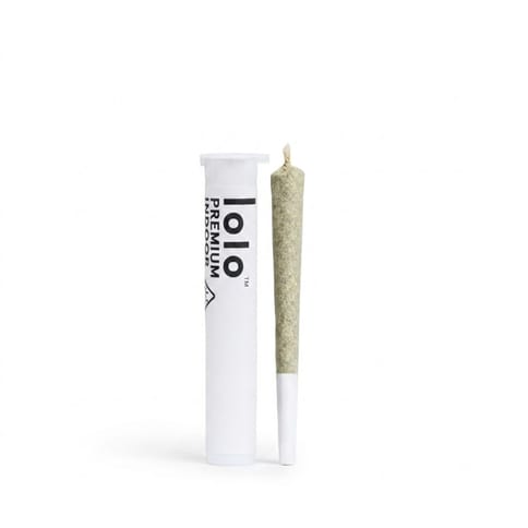 LOLO - INDOOR PREROLL - GOLD RUSH - 1G