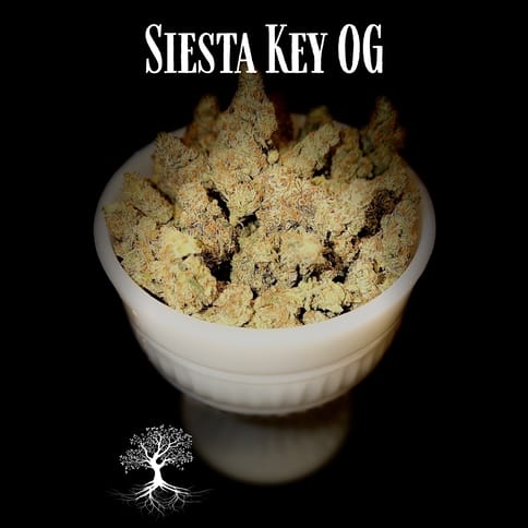 Buds - Siesta Key OG