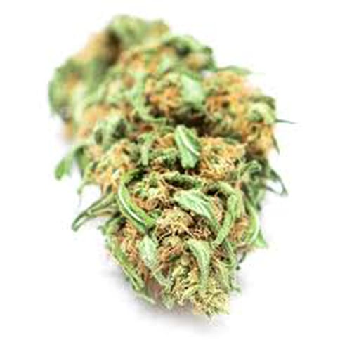 Champagne Gelato | Root & Sol - 3.5g