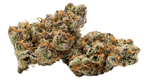 FLOWER | HAWAIIAN HASHBERRY | SATIVA DOMINANT HYBRID | 1 GRAM