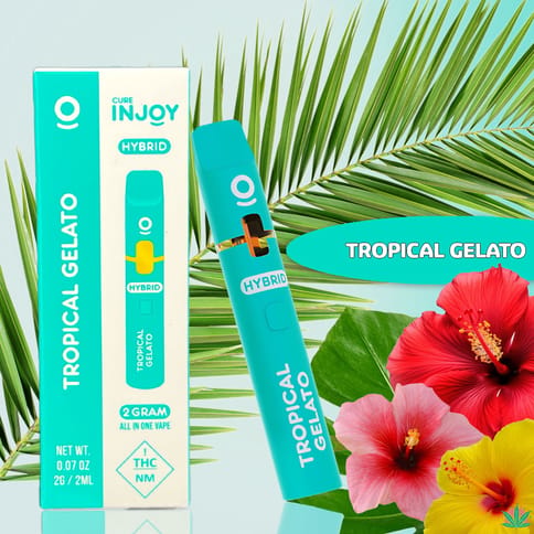 2g Tropical Gelato Disposable | Injoy