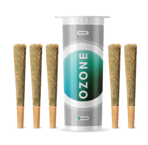 Modified Bananas - Pre-Rolls (2.5g/5pk)