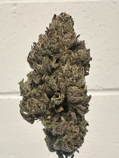 Alt Sol | Cherry Lemonade | 3.5g