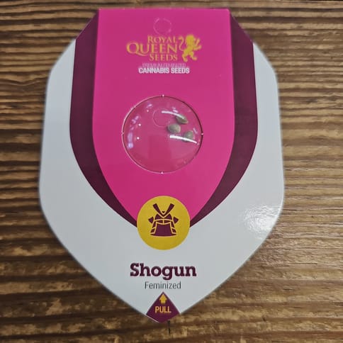 Shogun Feminized Seeds 3 Pack - Regular