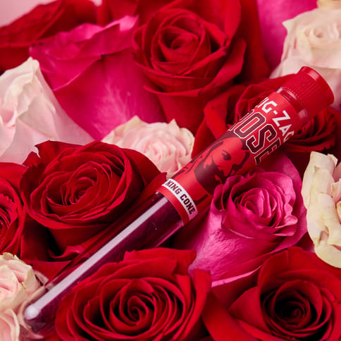 Single | Red King Rose Cone