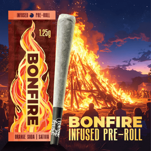 Orange Soda 1.25g Infused Pre-Roll