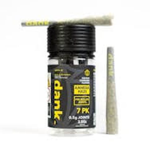 Dank - Amnesia Haze | 7-Pack Pre-Rolls