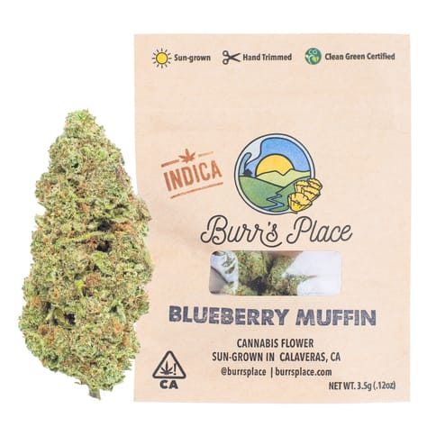 Burr's Place | Blueberry Muffin (I) | 3.5g Sungrown Flower