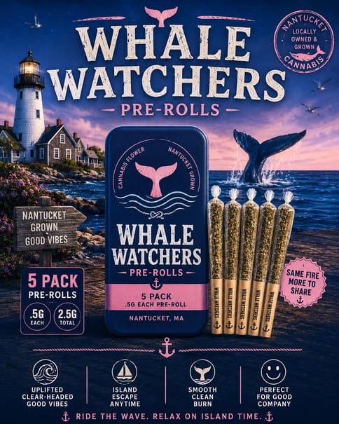 Bubblegum Kush S26 - Whale Watchers 2.5G