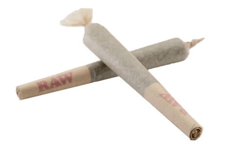 OG Blueberry - .5g PRE-ROLL