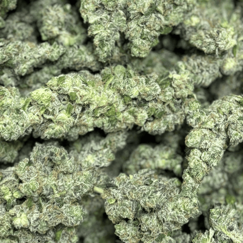 Rosebud Growers | Sour Gas