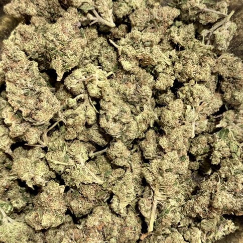 92 OG Deli Flower