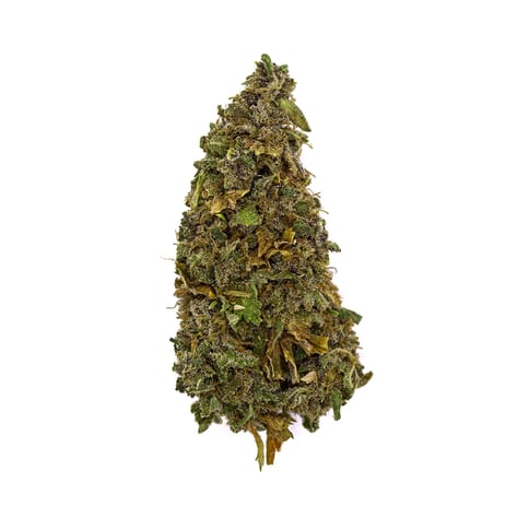 Blackberry ~ Bulk