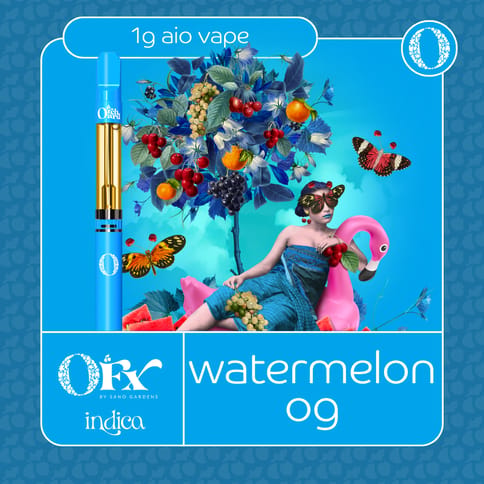 Sano Gardens Orchard FX All In One | Watermelon OG 1g Rec