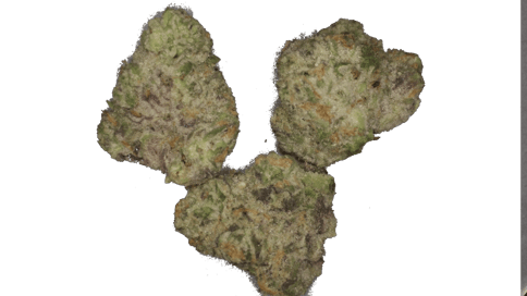 Mule Fuel - SM