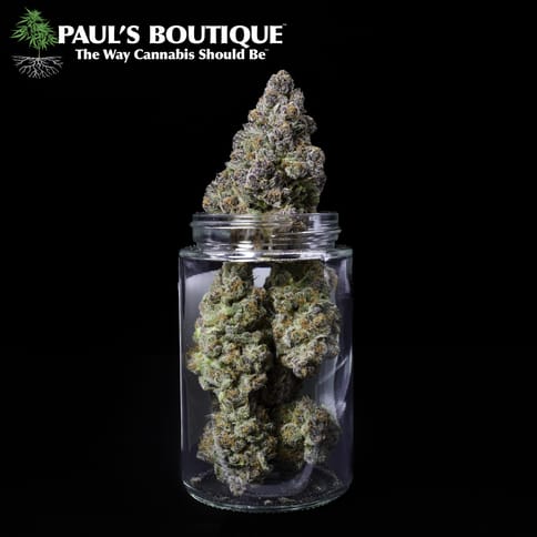 Cryo | 1/8oz | Black Cherry Punch