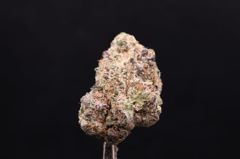 Sub Zero (Wicked Kind)