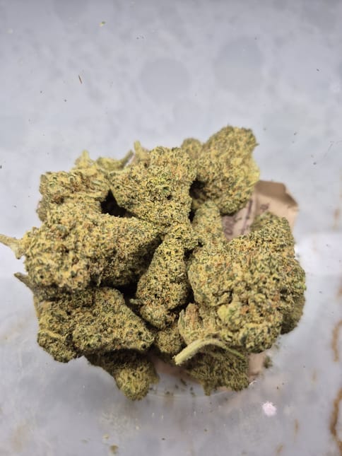 Tropical G 1/2