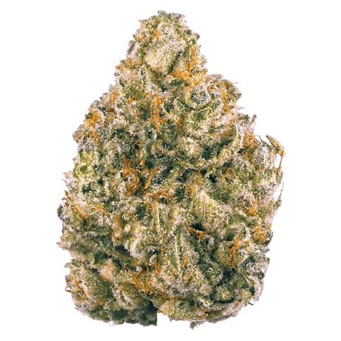 Ardo | Dry Ice | S | - 3.5G