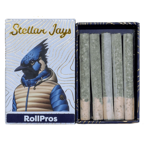 Dutch Koffee (0.75g) RollPros Stellar Jay 5pk by Moon Forest
