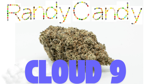 Randy Candy Flower Cloud 9