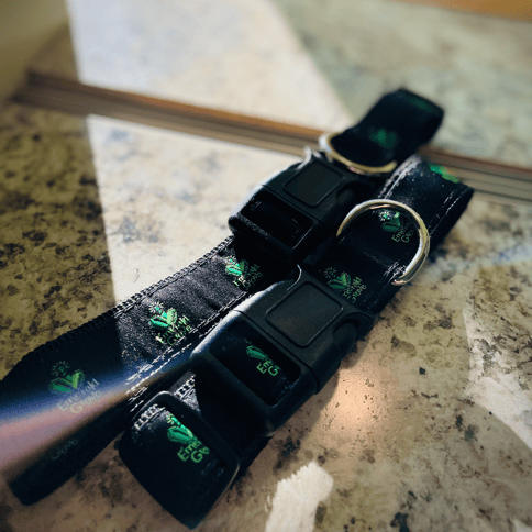 Dog Collar | Small
