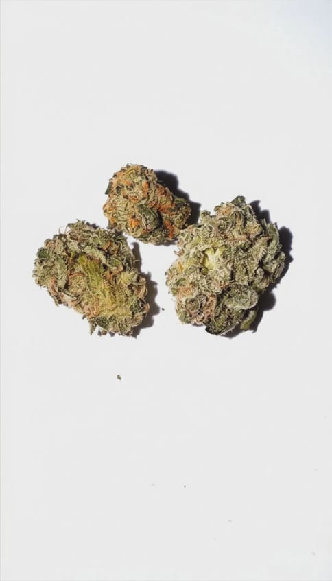 3 Pack Pre Roll - Froot by the Foot