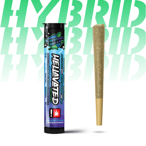 Hellavated | Blueberry Dream | 0.75G | Flavored | Infused Preroll