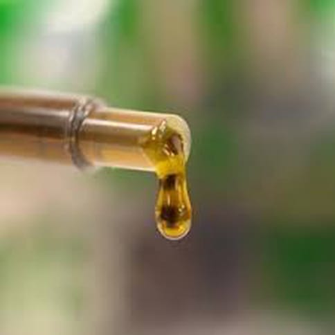West Edison | 1G Activated Oil: Blue Dream (S)