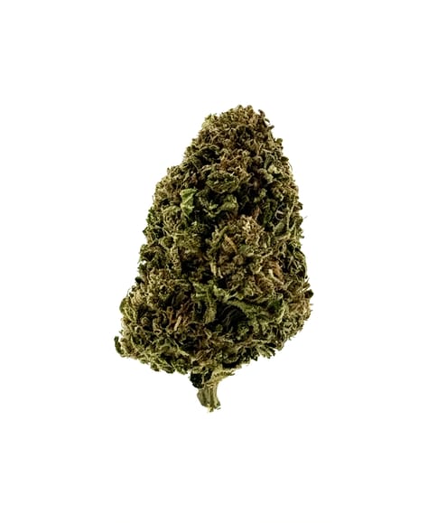 Wrath x Critical Cheesecake Outdoor Flower