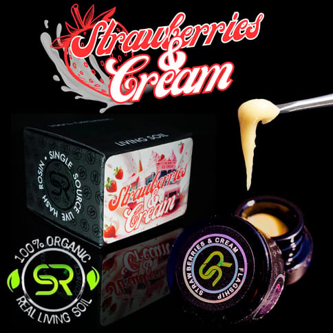Strawberries & Cream 1g Rosin