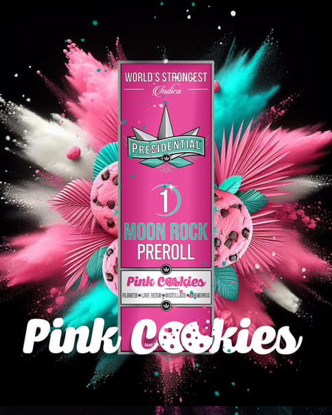 KB - PRESIDENTIAL - INFUSED PREROLL - PINK COOKIES - 1G