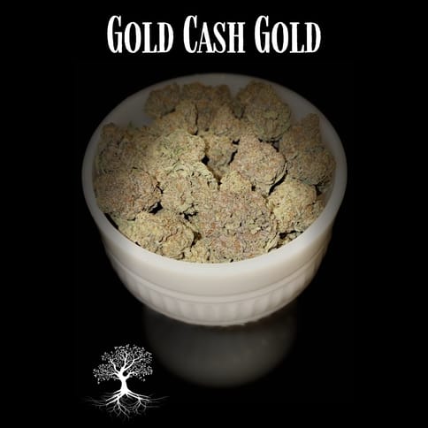 Buds - Gold Cash Gold