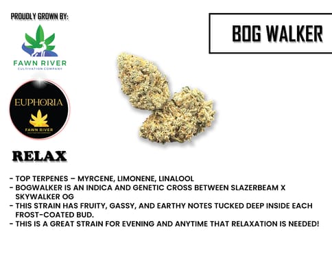 EUPHORIA - BOG WALKER