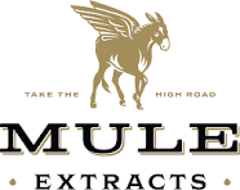 Mule Extracts | Pineapple Jack | 2g Live Resin