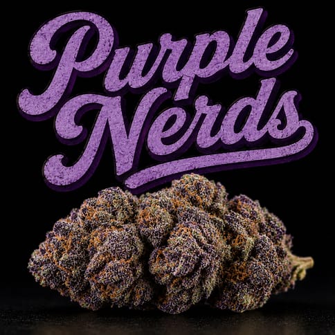 Purple Nerds - Flower - 3.5g
