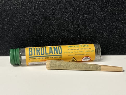 White Pine 1g preroll