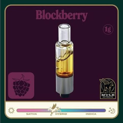 Blockberry 1G Cured Resin Cartridge (Mule)