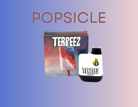 Popsicle 2g Disposable (Terpeez)