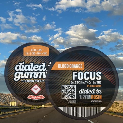 Blood Orange Focus Rosin Gummies by Dialed In | Golden Rookie