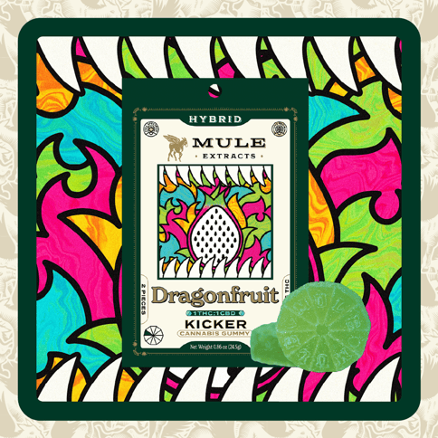 Mule | Dragon Fruit Kicker | 200MG | 1:1 | THC:CBD | 2 Piece Gummy