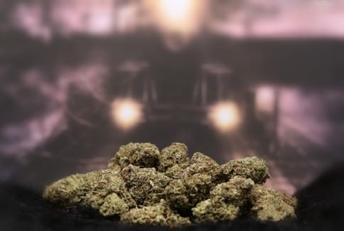 Flower | 3.5g | Sativa Hybrid | Dark Ghost Train