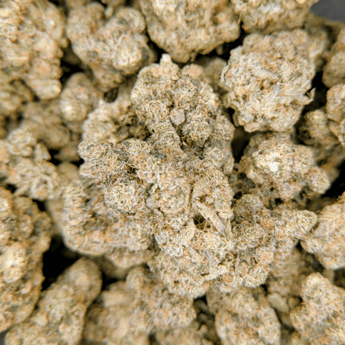 Larry Bird Mints - Deli Flower - $4/g
