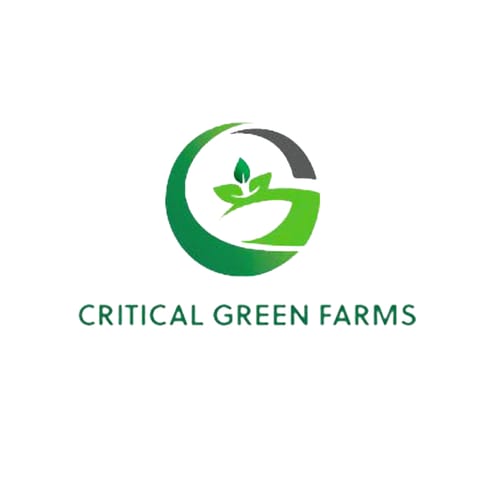 Flyin' Hawaiian (Critical Green)