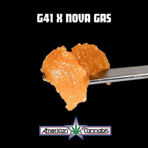 ACC | Concentrate | 1G - G41 x Nova Gas