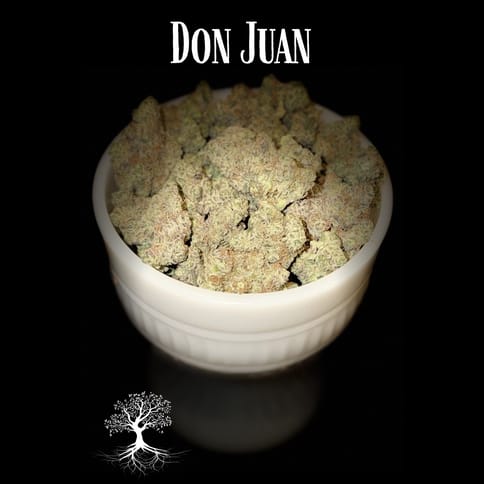 Buds- Don Juan